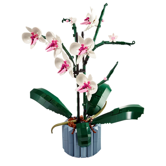Orchid Building Kit